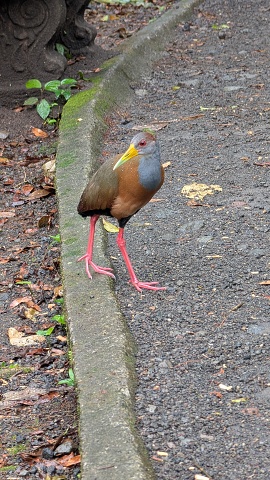 PXL 20250803 171235422