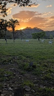 Costa Rica.field