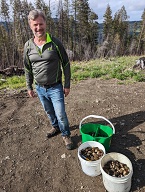 Mushroom Picking